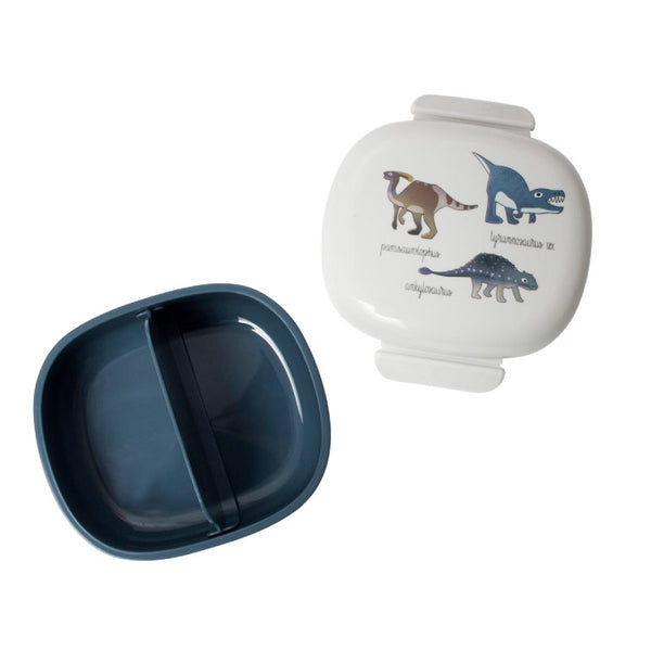 Dino Lunch box