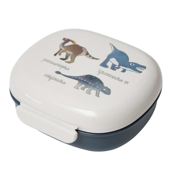 Dino Lunch box