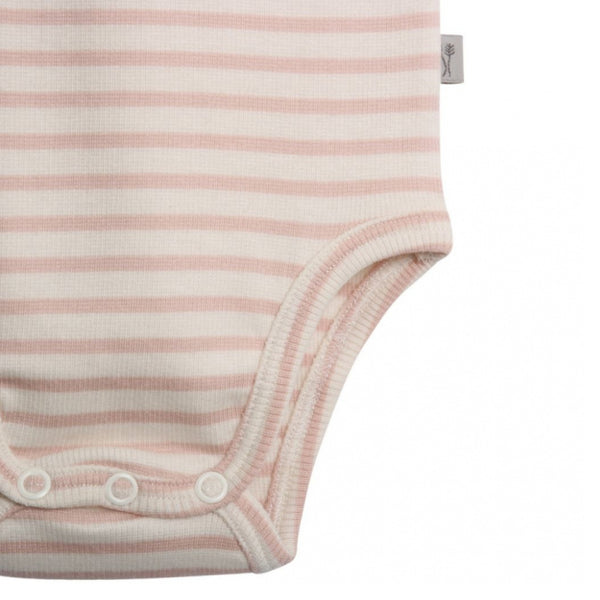 Rib Lace Short Sleeve Body