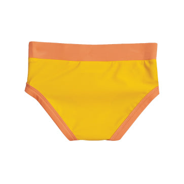 High Waisted Swim Pants